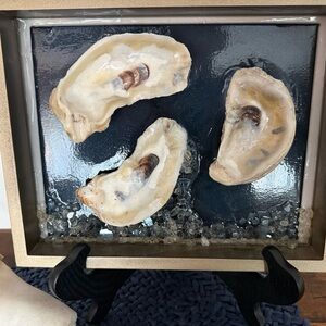 Framed Oyster Shell Art